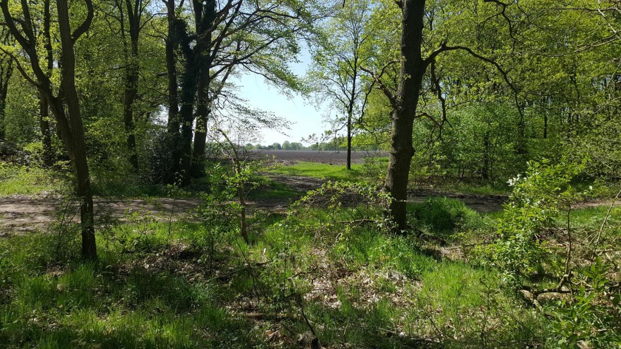Chalet Drenthe Villa Schoonloo Exteriör bild